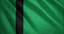 Sultanato de Delhi