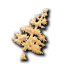 Silvicultura
